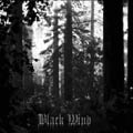 Folkvang - Black Wind (demo)