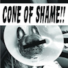 Cone of Shame!! (ep)