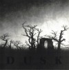 Dusk (demo)