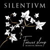 Forever Sleep - Acoustic Reprise (digital)