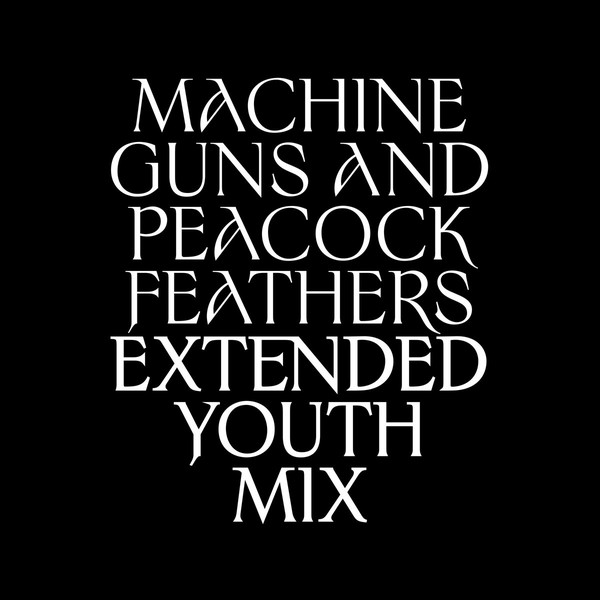 Machine Guns And Peacock Feathers (Extended Youth Mix) (digital)