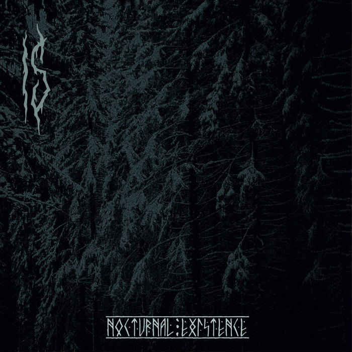 Is - Nocturnal Existence (digital)