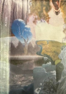 Split with Sudden Sadness (demo)